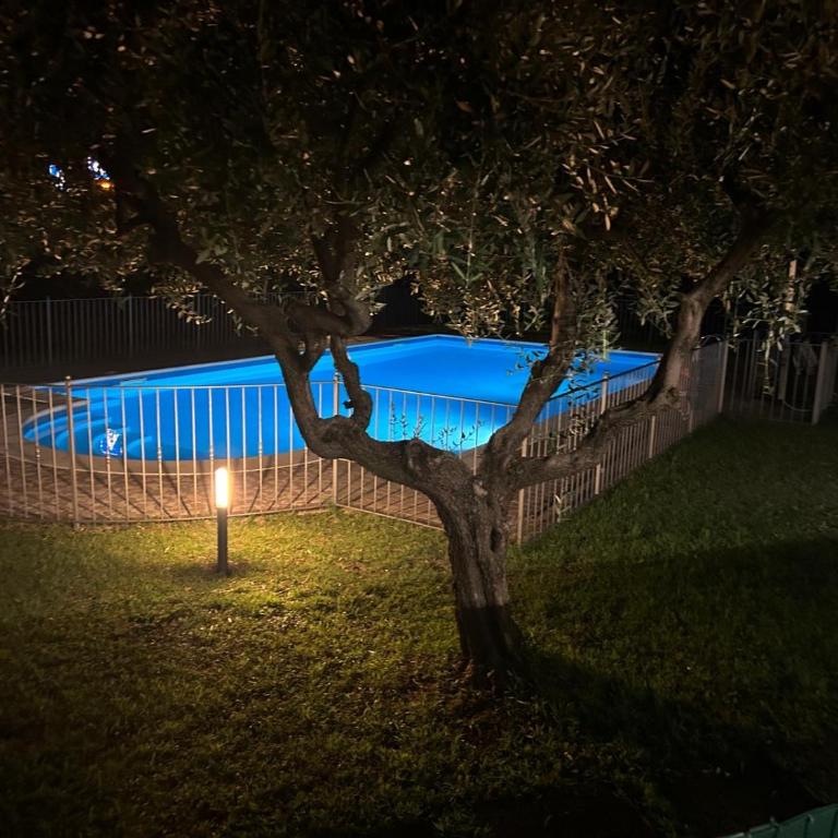 Biz's House - Appartamento con 2 Camere da Letto e Vista Piscina - 25