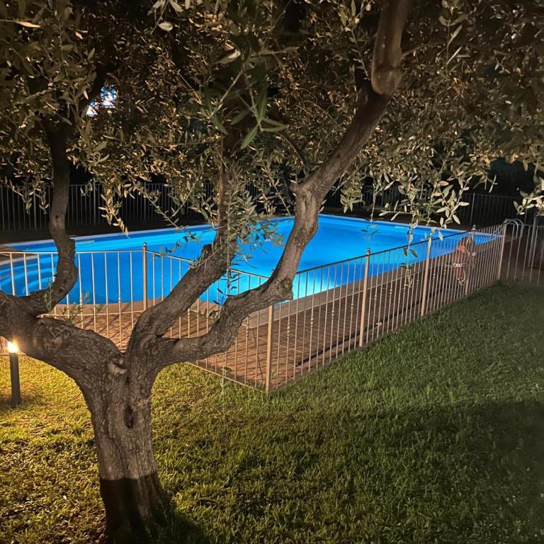 Biz's House - Appartamento con 2 Camere da Letto e Vista Piscina - 26