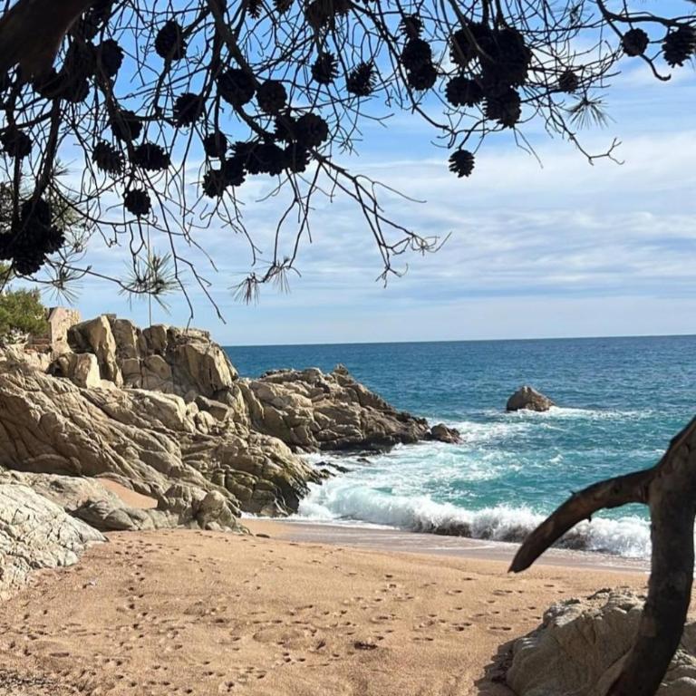 El PI Apartamento con jardín a 2 minutos playa y 2 minutos centro - Apartamento de 2 dormitorios - 17