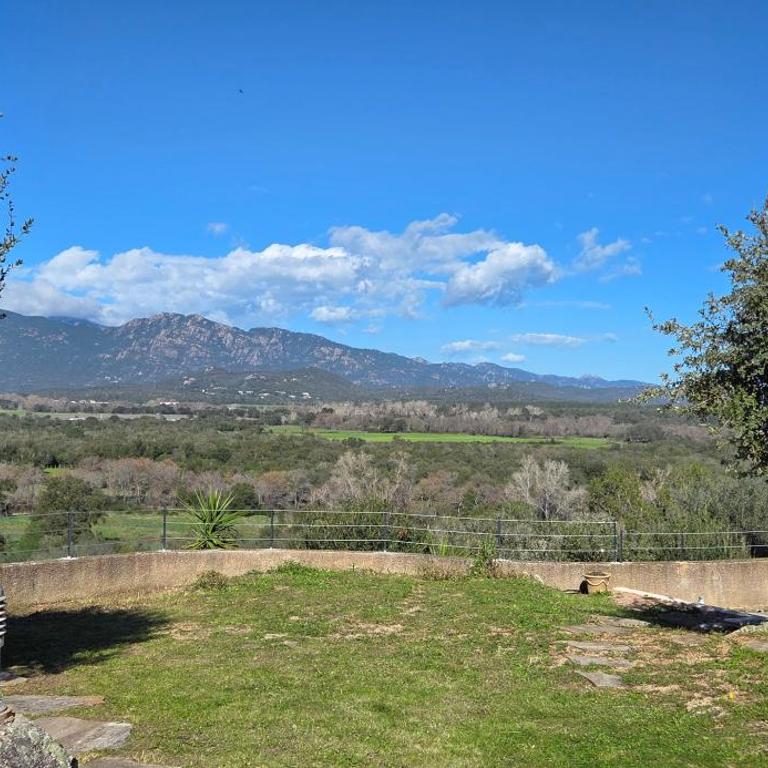 Appartement neuf dans hameau proche porto vecchio - Apartamento de 1 dormitorio - 36