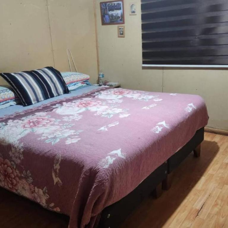 Andromeda - Room #1585586601 - 2