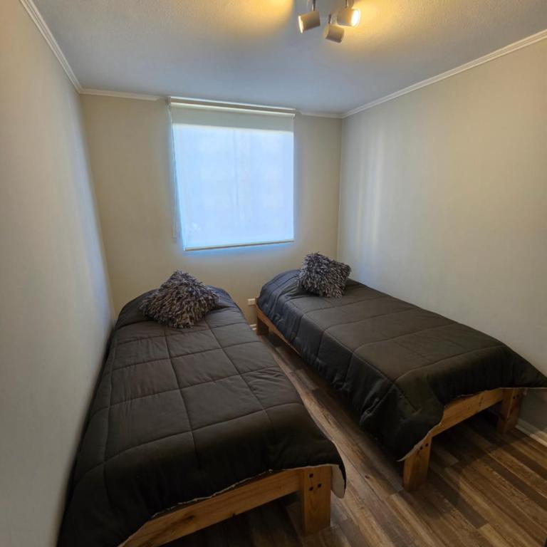 Céntrico y moderno departamento - Two-Bedroom Apartment - 3