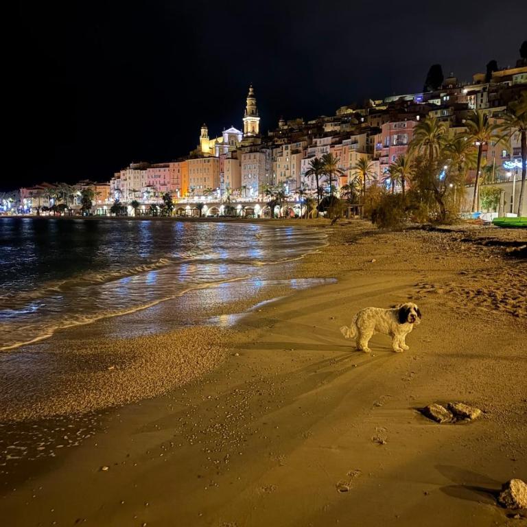 Citronnaise Menton Old Town - Appartement 2 Chambres - 10