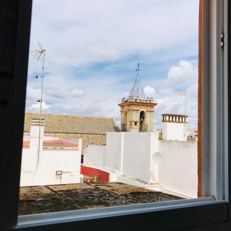 Atico Terraza Privada - Apartamento de 1 dormitorio - 14