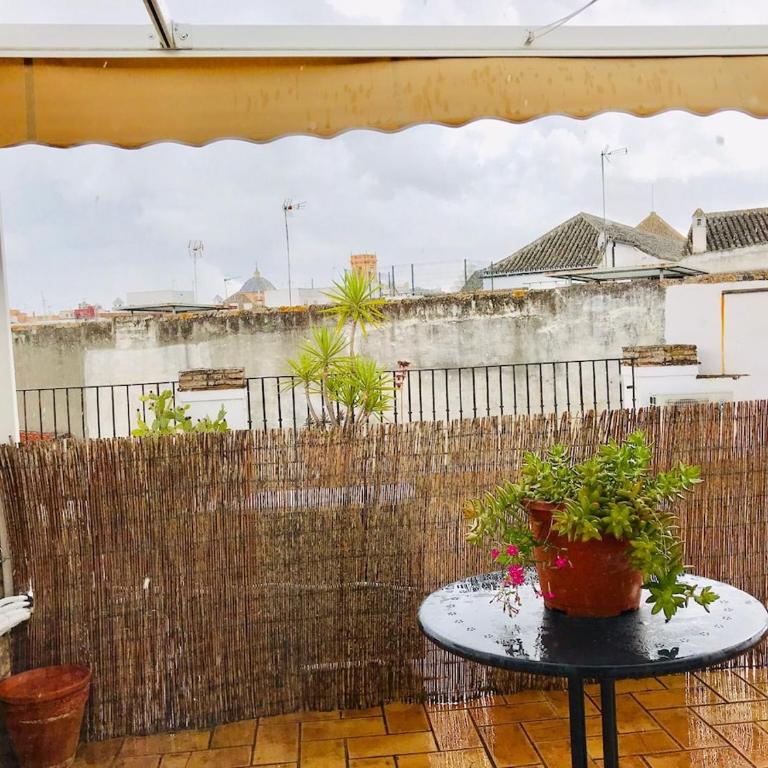 Atico Terraza Privada - Apartamento de 1 dormitorio - 15