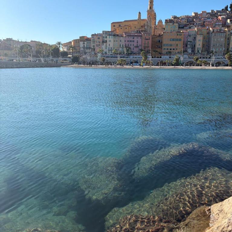 Citronnaise Menton Old Town - Appartement 2 Chambres - 14