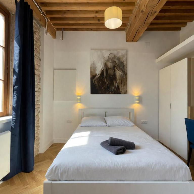 Charmant studio pour 2 Quartier Valmy - Appartement - 4