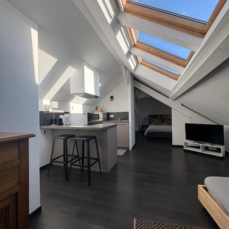Petit Loft proche Place Darcy - Appartement 1 Chambre - 2