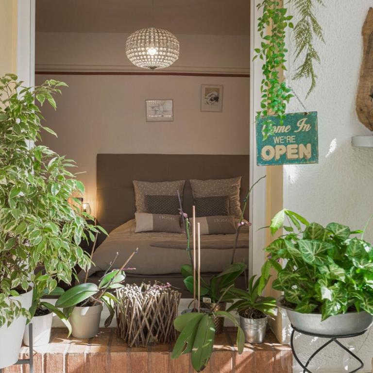 La Maison Fleurie by Halldis - Appartement - 19