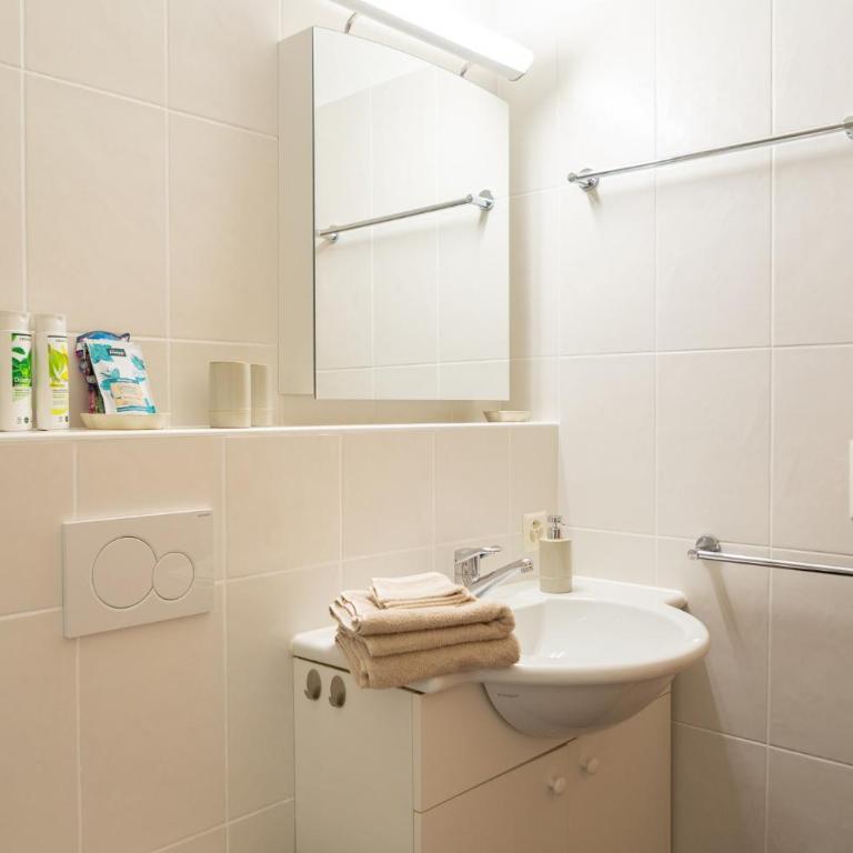 Chesa Altrova Alpine Apartment - Apartment mit 1 Schlafzimmer - 13
