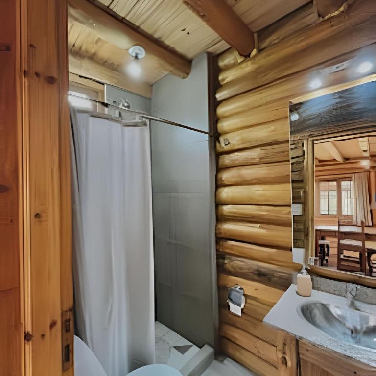 Sueños de Montañas, Manzano Histórico, Tunuyán - Cabaña de 1 dormitorio - 16