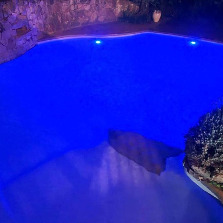 Villa Olimp in Super Cannes with sea view - Villa - 54