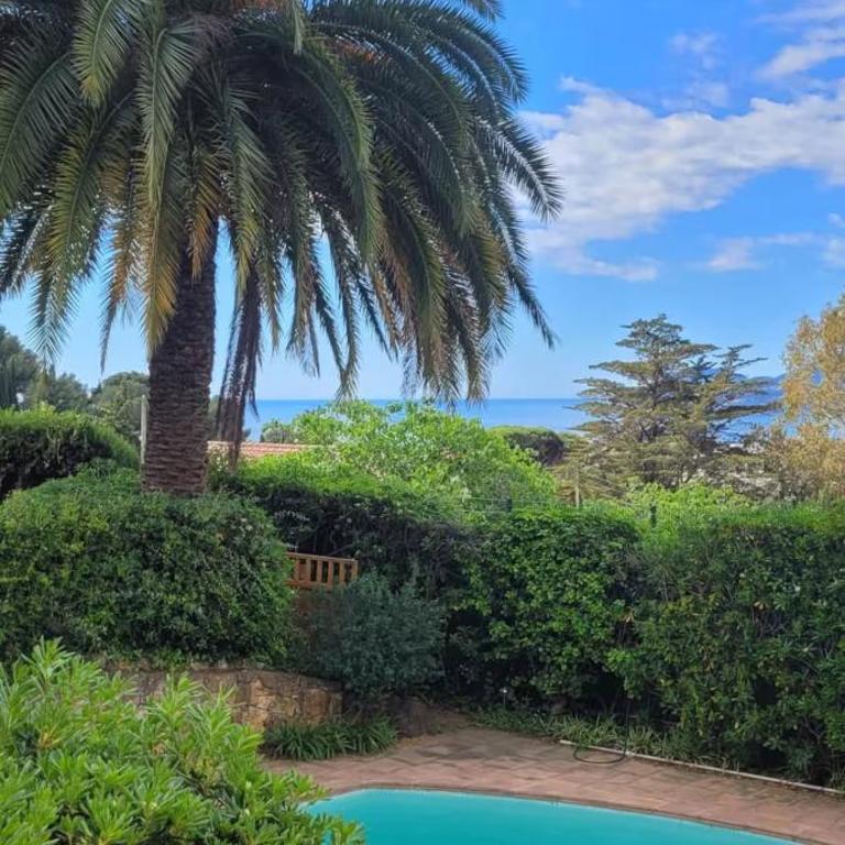 Villa Olimp in Super Cannes with sea view - Villa - 57