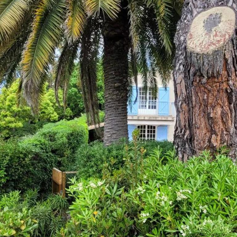 Villa Olimp in Super Cannes with sea view - Villa - 59
