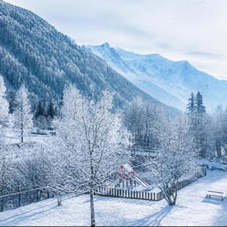 Bel Apt Near The Slopes Argentiere - Apartment - 3