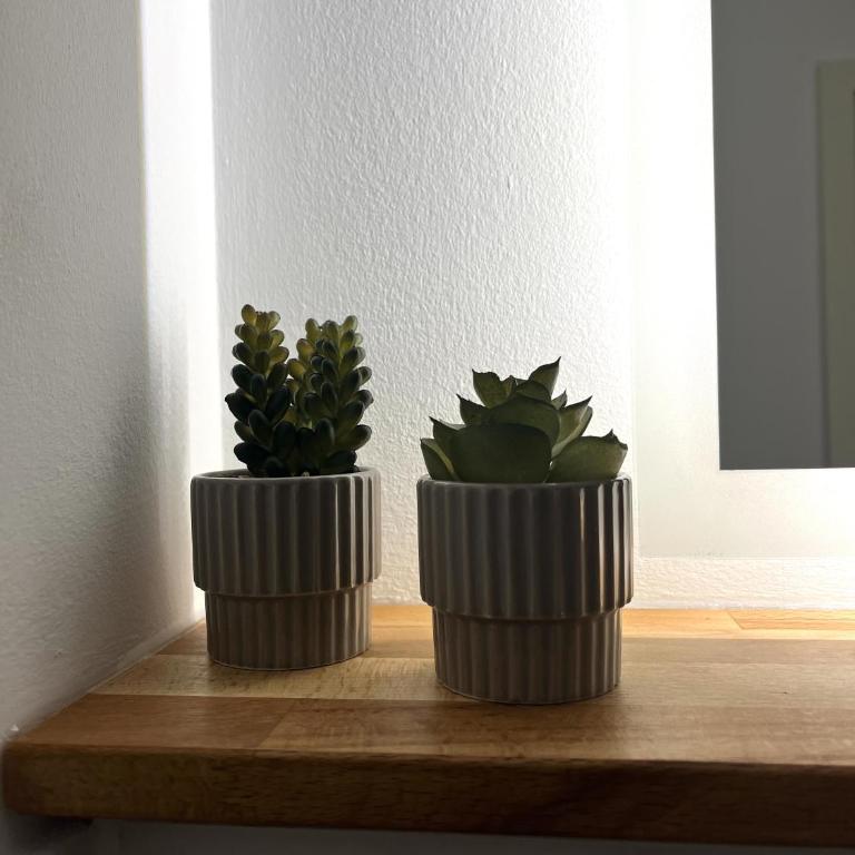 Apartment mit Blick ins Grüne - Appartement - 7