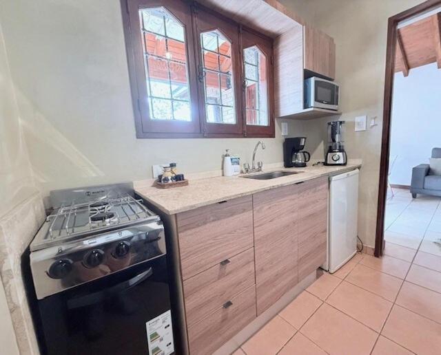 Inmejorable ubicación para disfrutar Mendoza - Apartamento de 1 dormitorio - 10