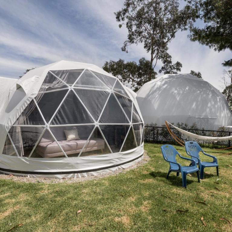 NaturHotel - Dome City View - 10