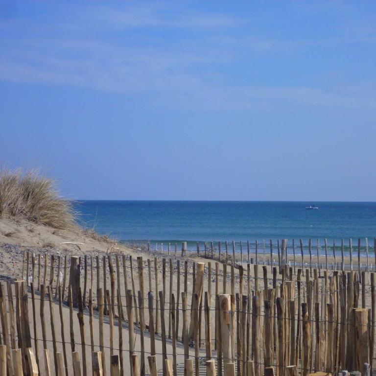 Appartement rénové 4 pers. proche plage, calme, parking, animaux acceptés - FR-1-387-131 - Appartamento (4 Adulti) - 14