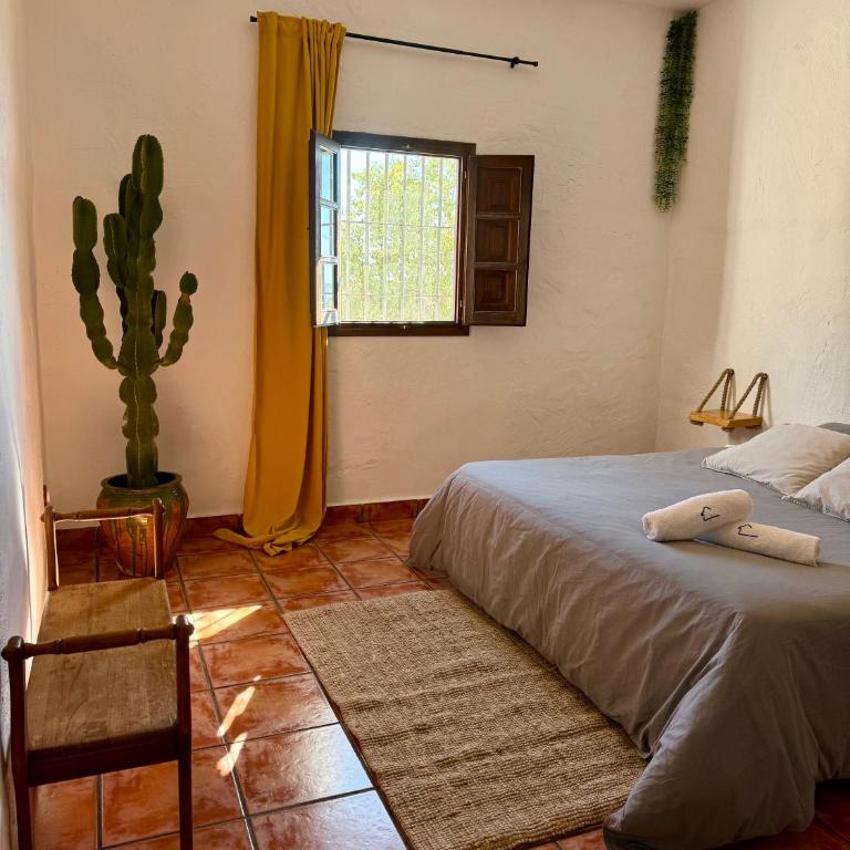 El Cielo, Cortijo en el corazón de las montañas - Villa - 13