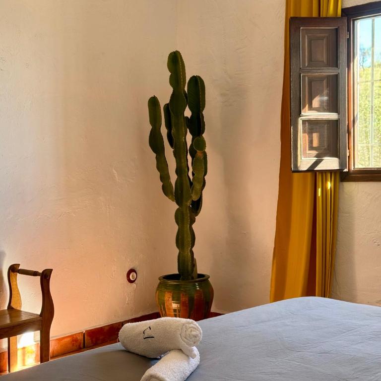 El Cielo, Cortijo en el corazón de las montañas - Villa - 16