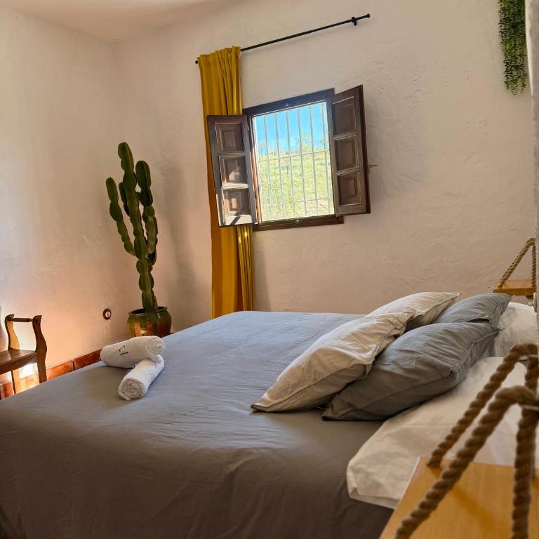 El Cielo, Cortijo en el corazón de las montañas - Villa - 15