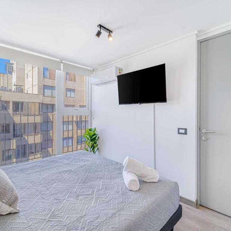 Coventry II Space, 1D Wifi and AC - One-Bedroom Apartment - 2