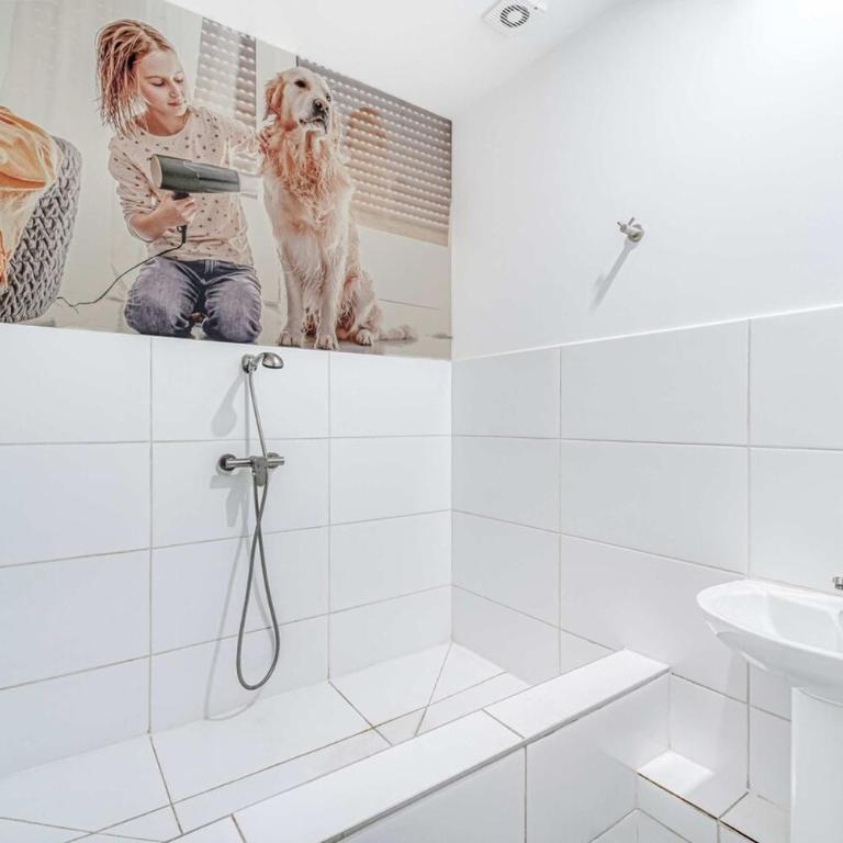 Coventry II Space, 1D Wifi and AC - One-Bedroom Apartment - 14