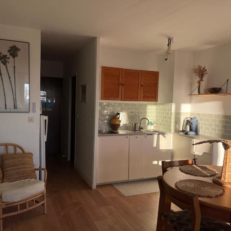 "Les Palmiers" Studio spacieux vue mer Terrasse & Parking - Appartement - Vue sur Mer - 14