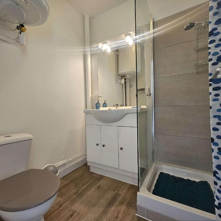 Studio lumineux avec balcon exposé sud, tout équipé et classé 2 étoiles. - FR-1-553-139 - Studio - 9