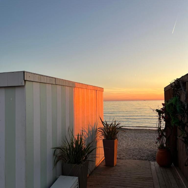 "Les Palmiers" Studio spacieux vue mer Terrasse & Parking - Appartement - Vue sur Mer - 22