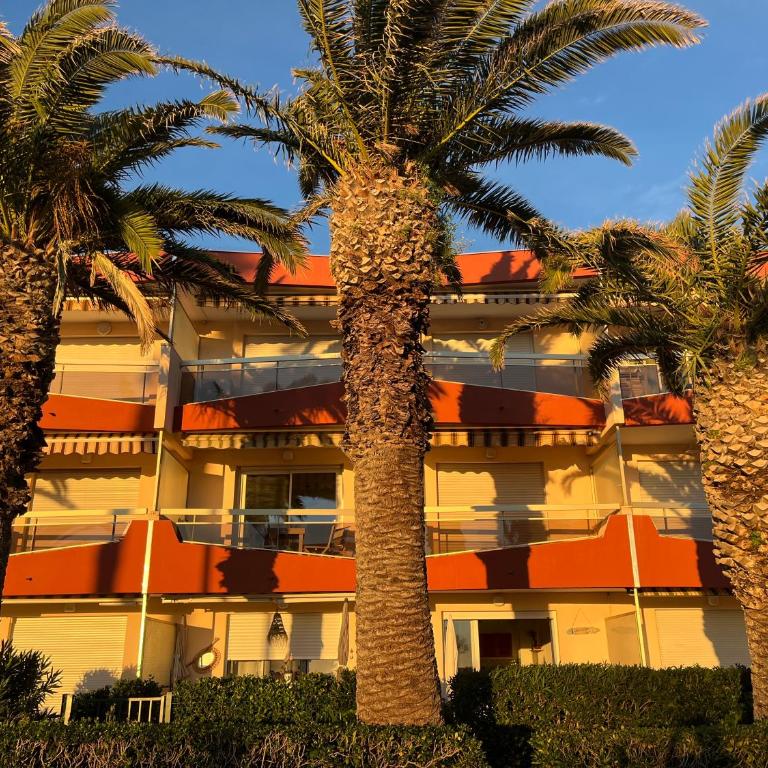 "Les Palmiers" Studio spacieux vue mer Terrasse & Parking - Appartement - Vue sur Mer - 12