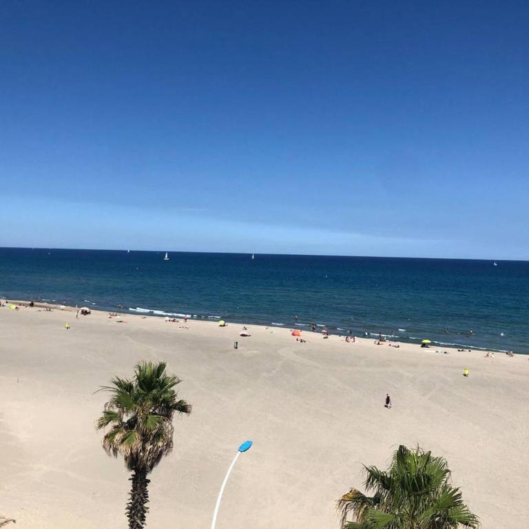Appartement cosy T3 avec terrasse à Canet-en-Roussillon - FR-1-833-37 - Appartement - 12