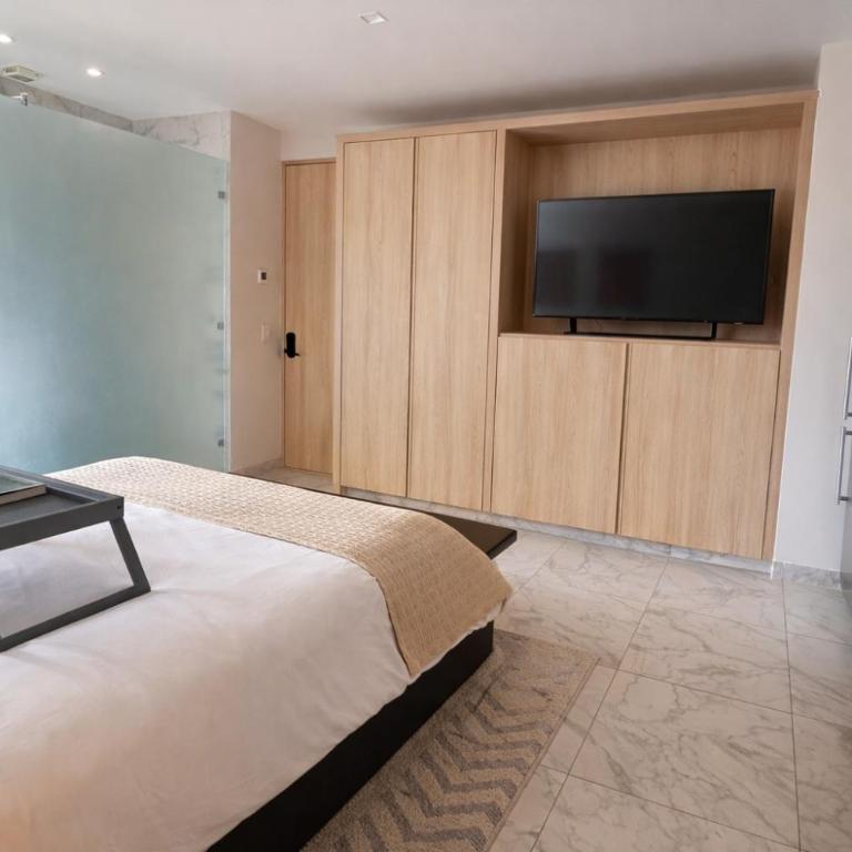 Premier Twin Suite with Exclusive Rooftop - Apartamento de 1 dormitorio - 20