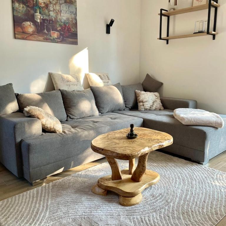 Apartman Sima Divčibare - Room #1585724101 - 1