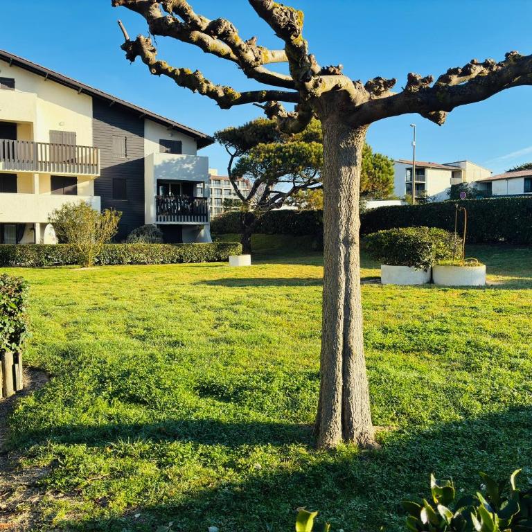 Safari Private Beach, Terrace, Parking & Wifi 50m Océan Surf - Apartment with Garden View - 16
