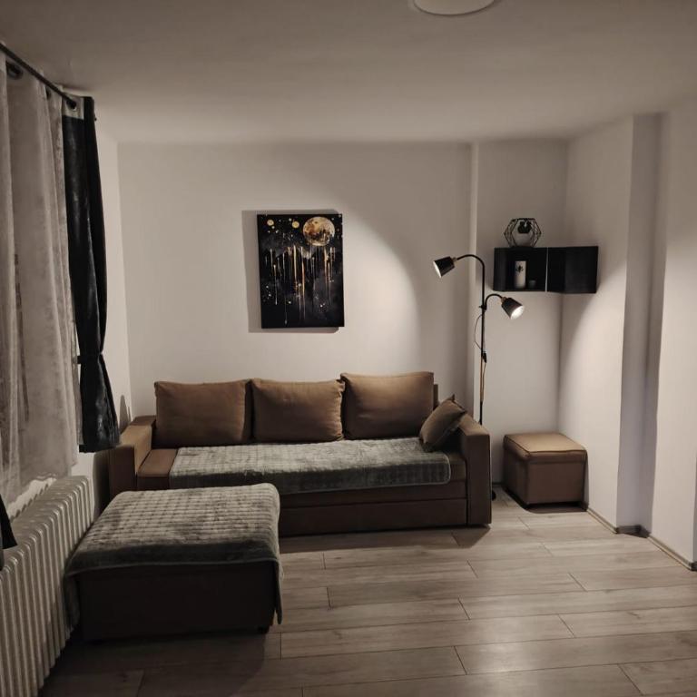 Apartment Zorica - Apartman sa 1 Spavaćom Sobom - 10