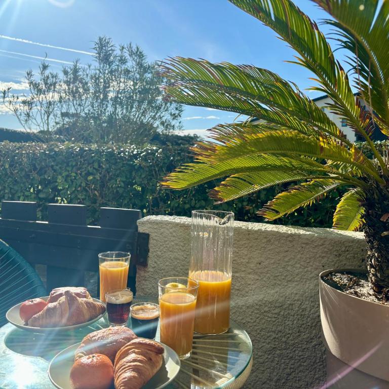 Safari Private Beach, Terrace, Parking & Wifi 50m Océan Surf - Apartment with Garden View - 2