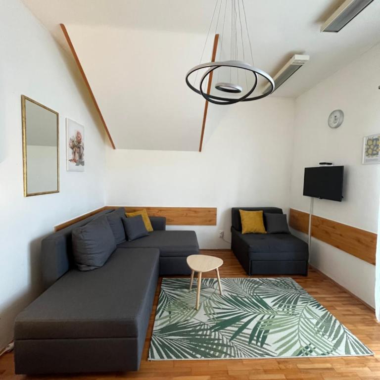Apartman Nestoria Zlatibor - Apartman sa 1 Spavaćom Sobom - 14