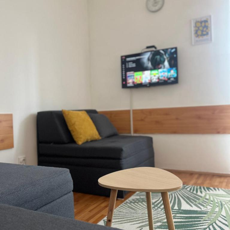 Apartman Nestoria Zlatibor - Apartman sa 1 Spavaćom Sobom - 9