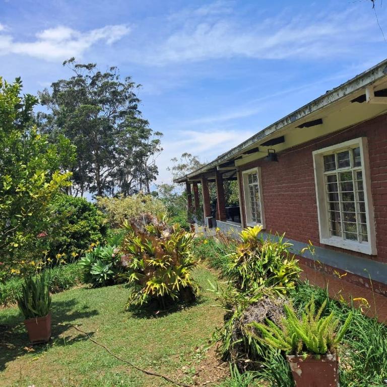 Villa Tahiti - Casa de 4 dormitorios - 3