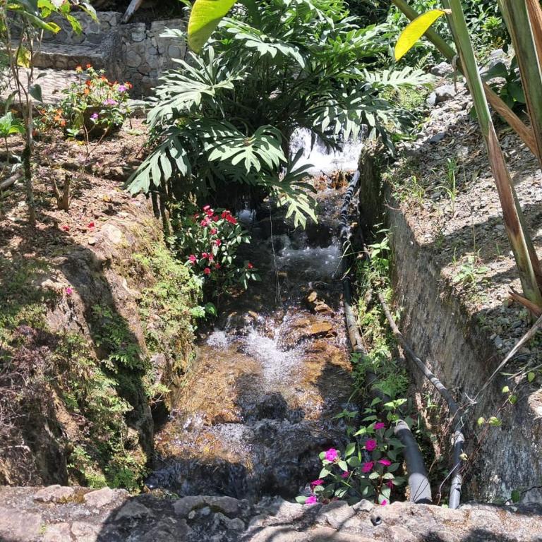 Villa Tahiti - Casa de 4 dormitorios - 9