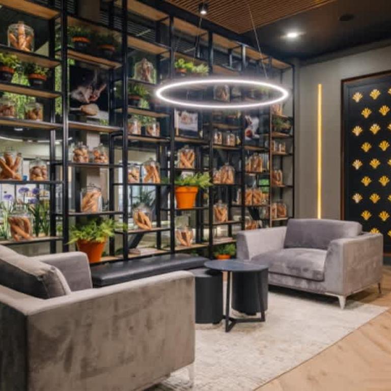 HOM I Metro Irarrázaval I Cercano Barrio Italia - Apartment - 5
