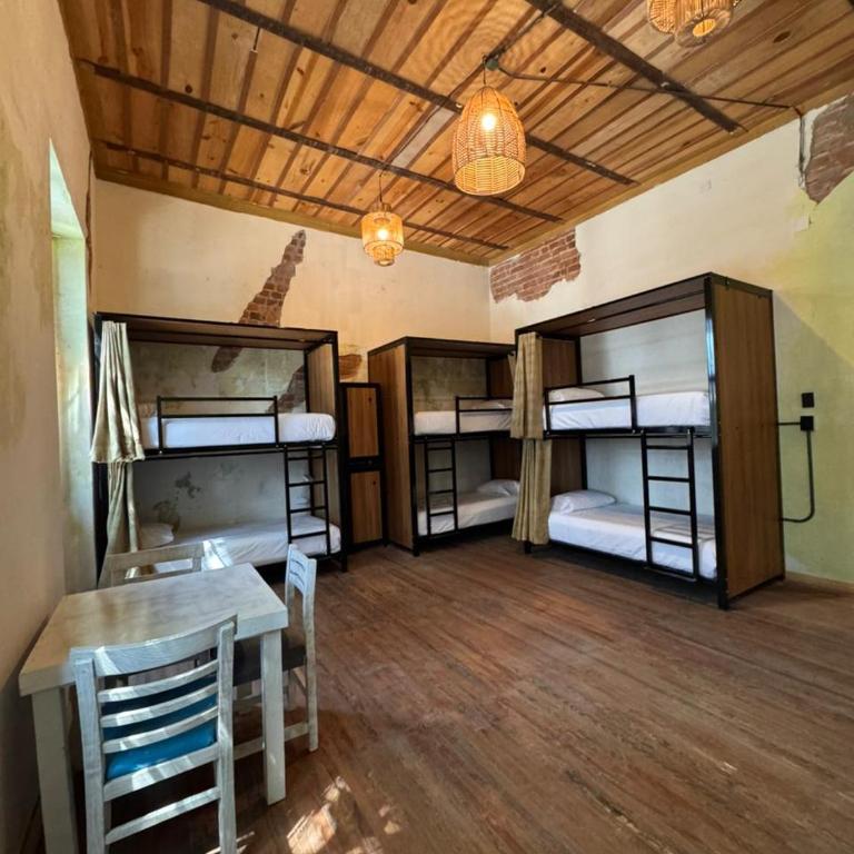 Nomaddicts - Bed in 6-Bed Mixed Dormitory Room - 1