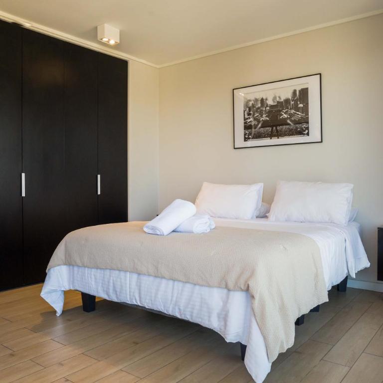 Lujo y exclusividad en el corazon de Providencia - Apartment - 16