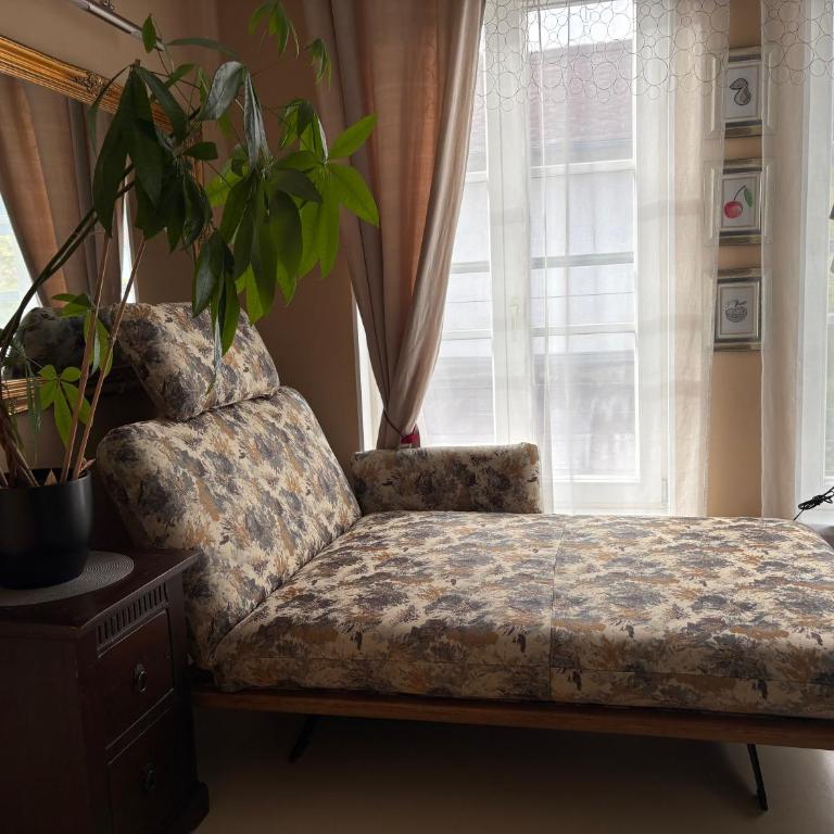 Ferienhaus Tolazzi - Haus mit 2 Schlafzimmern - 41