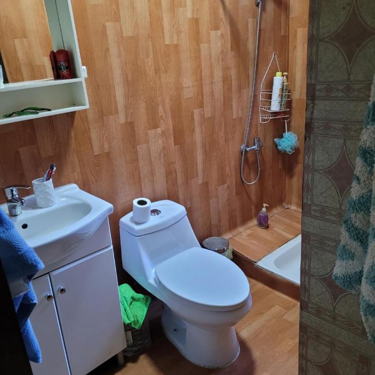 Cómoda Cabaña en Hermoso Sector de Chesque - Casa de 3 dormitorios - 10