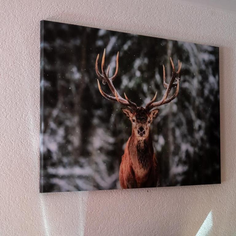 Le Vieux Valais - Studio Supérieur - 1