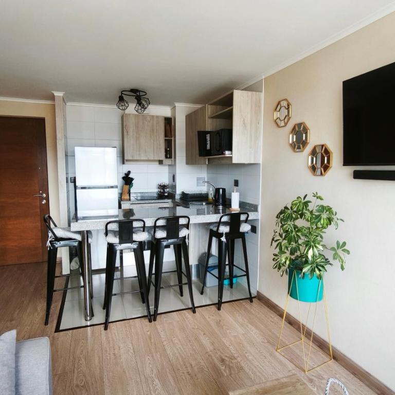 Departamento centro Temuco - One-Bedroom Apartment - 7