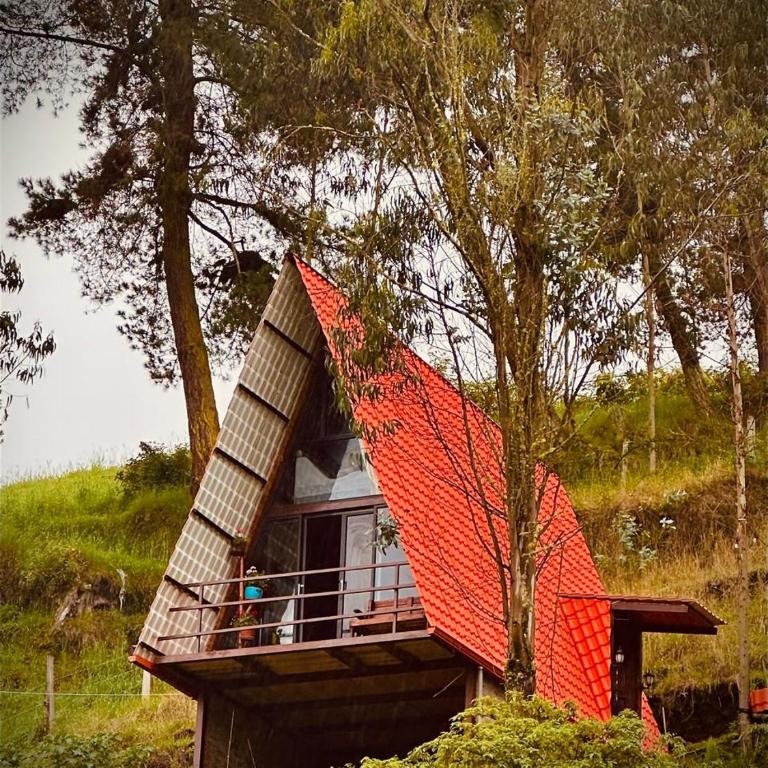Pacha Glamping Experience - One-Bedroom Villa - 1